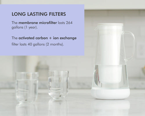 LifeStraw Home 7-Cup Glass