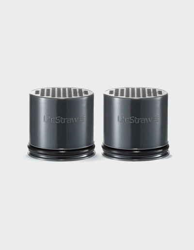 LifeStraw Go carbon filter replacement 2-pack, two dark gray capsules with stainless mesh tops