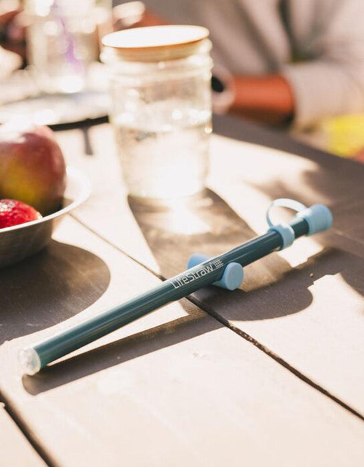 LifeStraw Sip Essential Water Filter straw